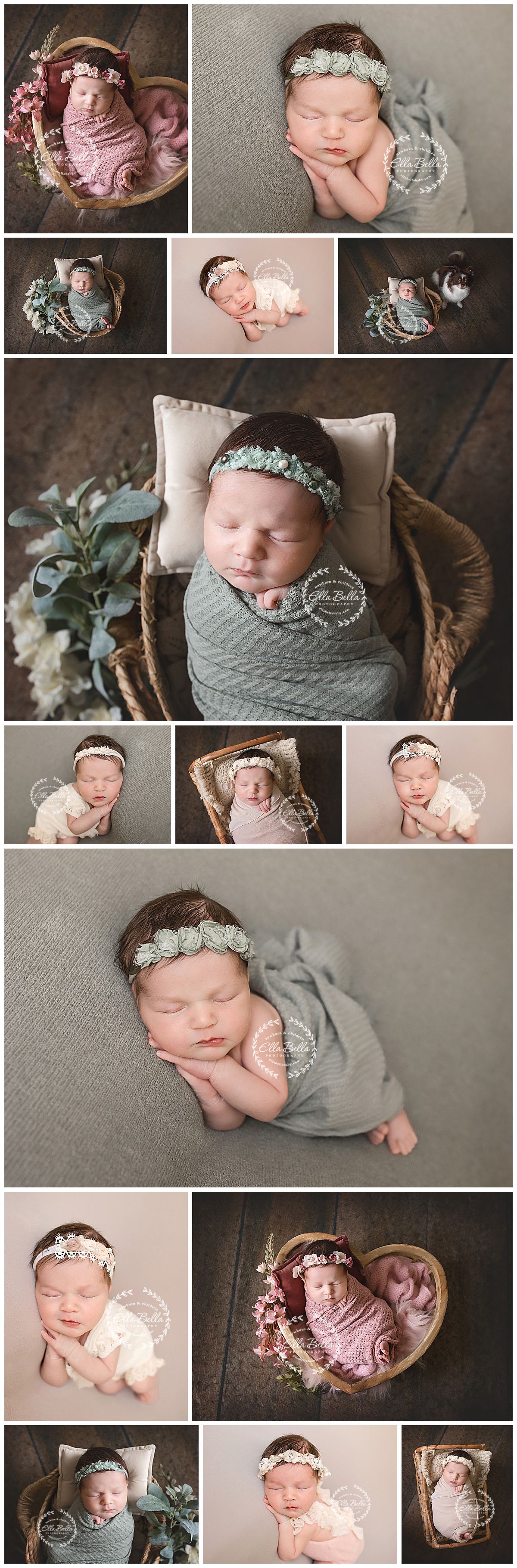 Professional newborn photography collage featuring soft gray and pink tones with delicate floral headbands and cozy wraps.