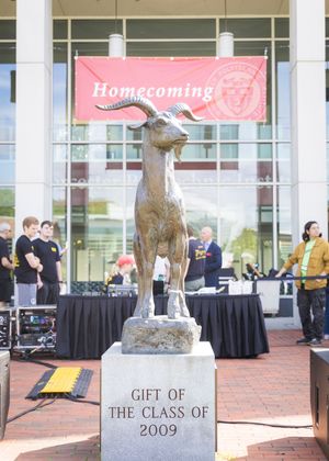 Bronze dog statue displayed on a pedestal in front of a building entrance with tables and banners visible.