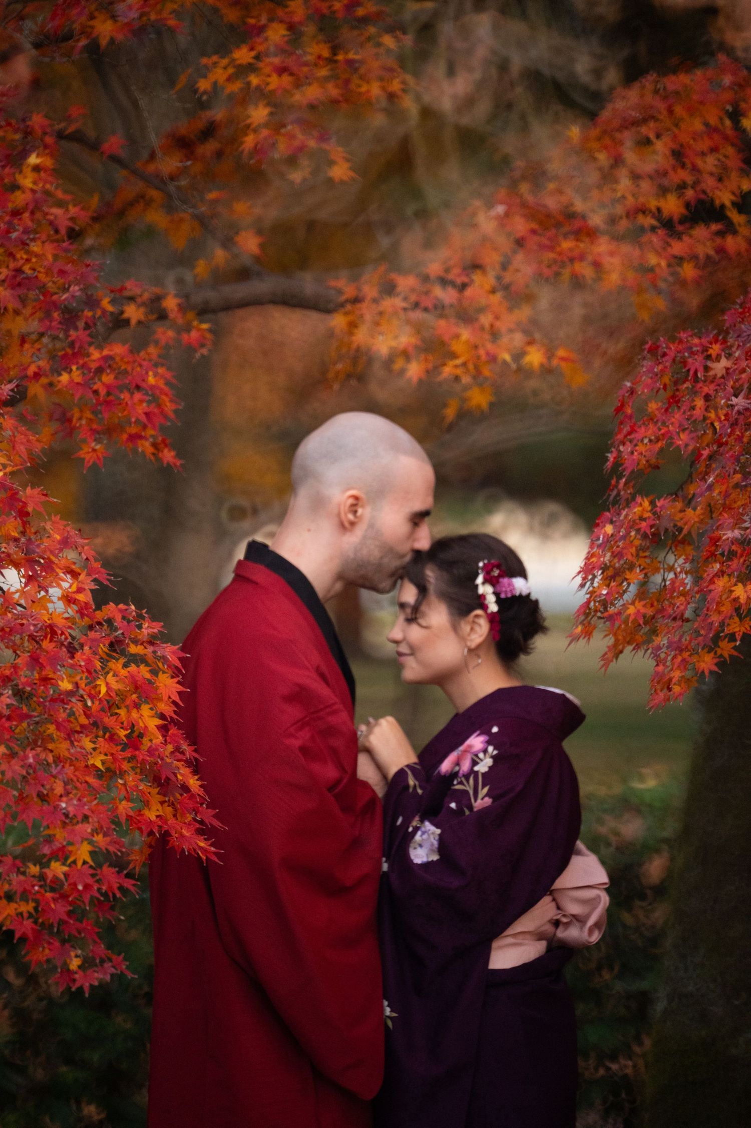 Couple in traditional Japanese kimono sharing an intimate moment among vibrant red maple leaves.