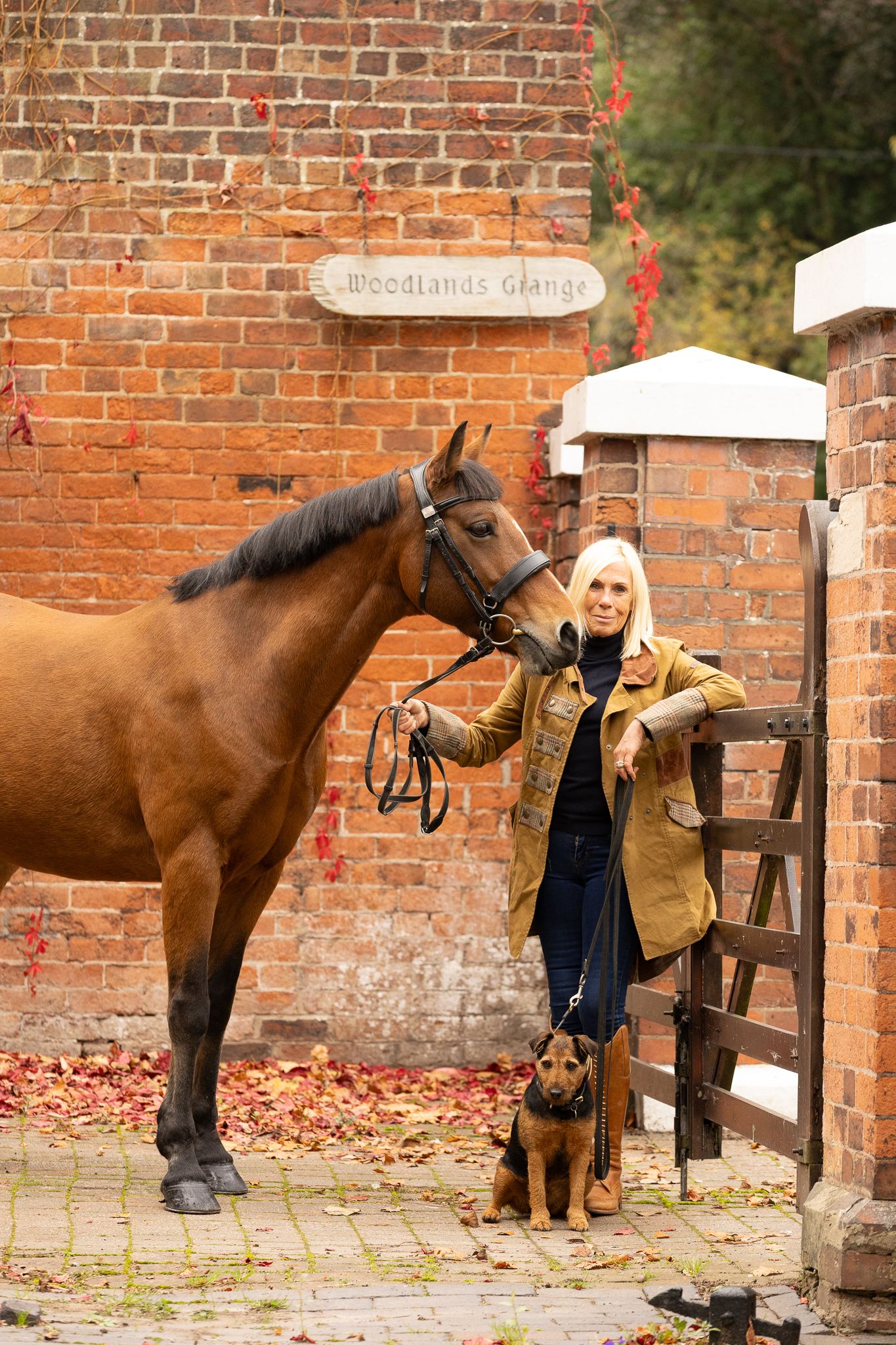 A brown horse stands next to a brick wall while someone interacts with it on an autumn day with fallen leaves.