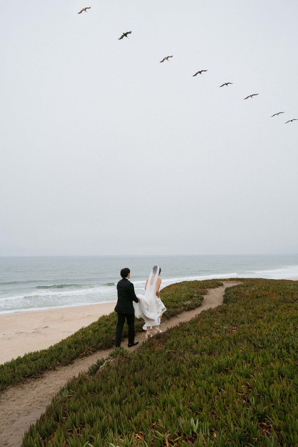 Birds soar above as figures walk along a coastal path overlooking the ocean on a misty day.