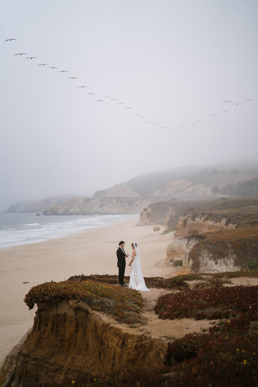 Dramatic coastal cliffs and foggy beach landscape with seabirds flying overhead on a misty day.