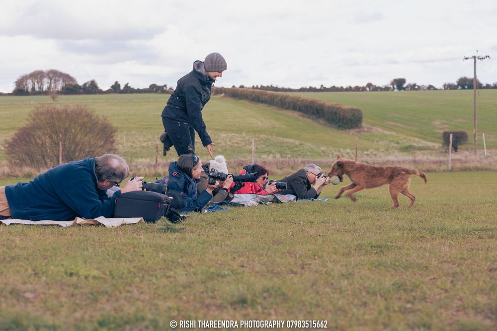 People having a picnic in a grassy field while a dog runs playfully nearby on a cloudy day.