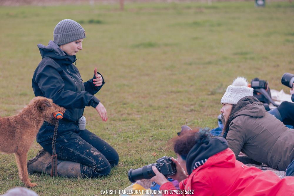 A sequence of action shots shows a person in winter clothing performing forward rolls on grassy terrain.