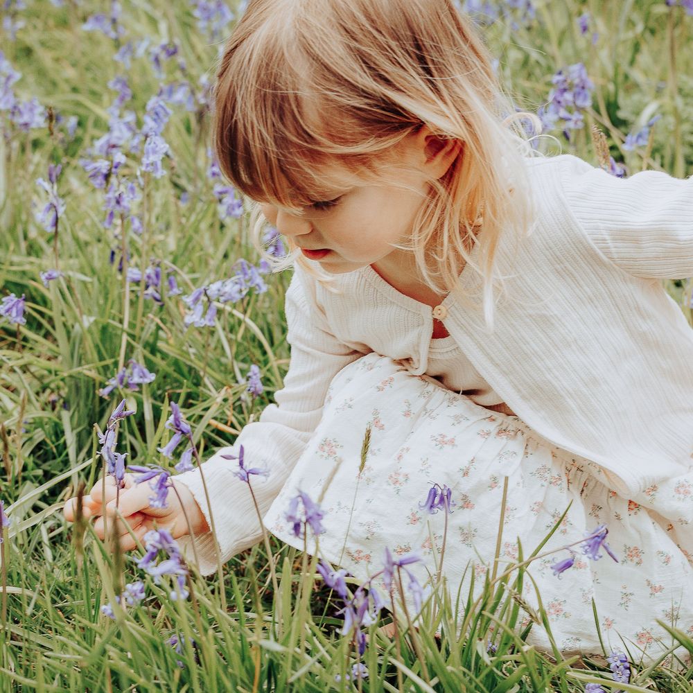 Young girl picking bluebells.