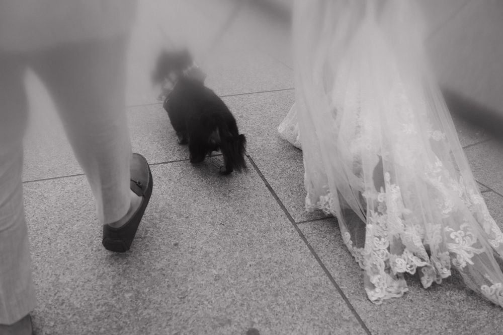 Close-up details of a lace wedding dress trailing on concrete.