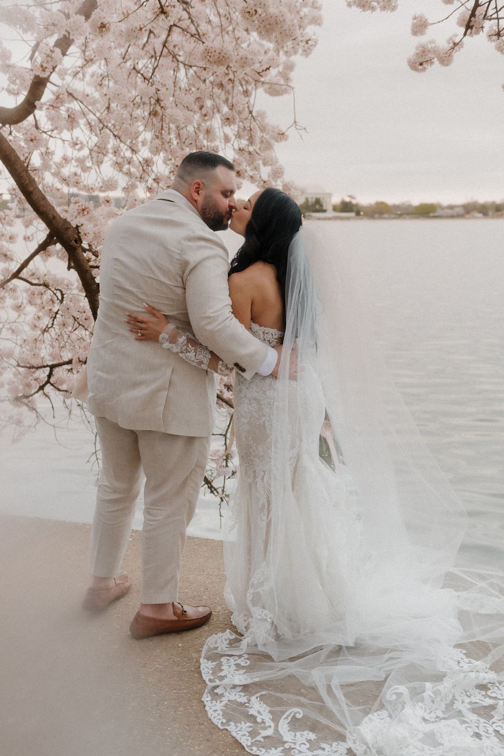 A romantic wedding photo session under cherry blossom trees by the Tidal Basin.