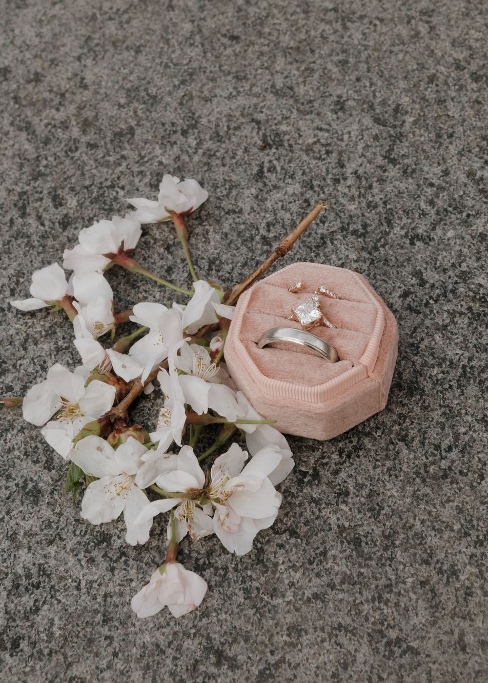 Delicate white cherry blossoms and a pink candle holder arranged on a textured grey stone surface.