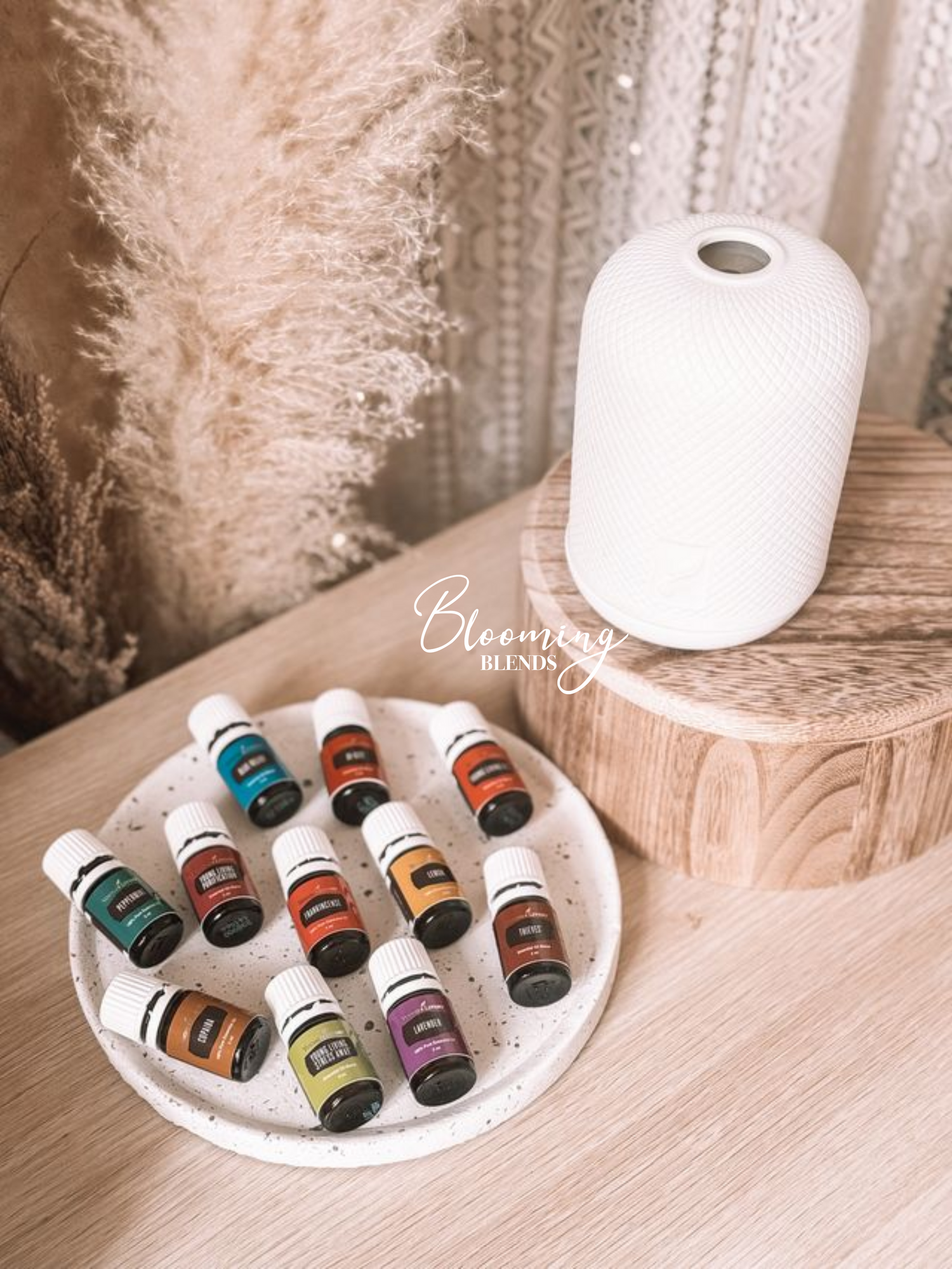 premium starterskit young living met haven Diffuser
olie start 100% zuivere olie
verhoogd bewustzijn 
beginnen met etherische olie