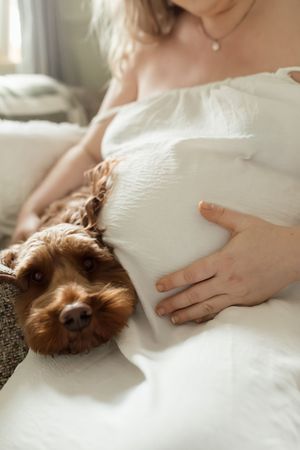 A small brown dog rests peacefully next to someone in white clothing on a couch.