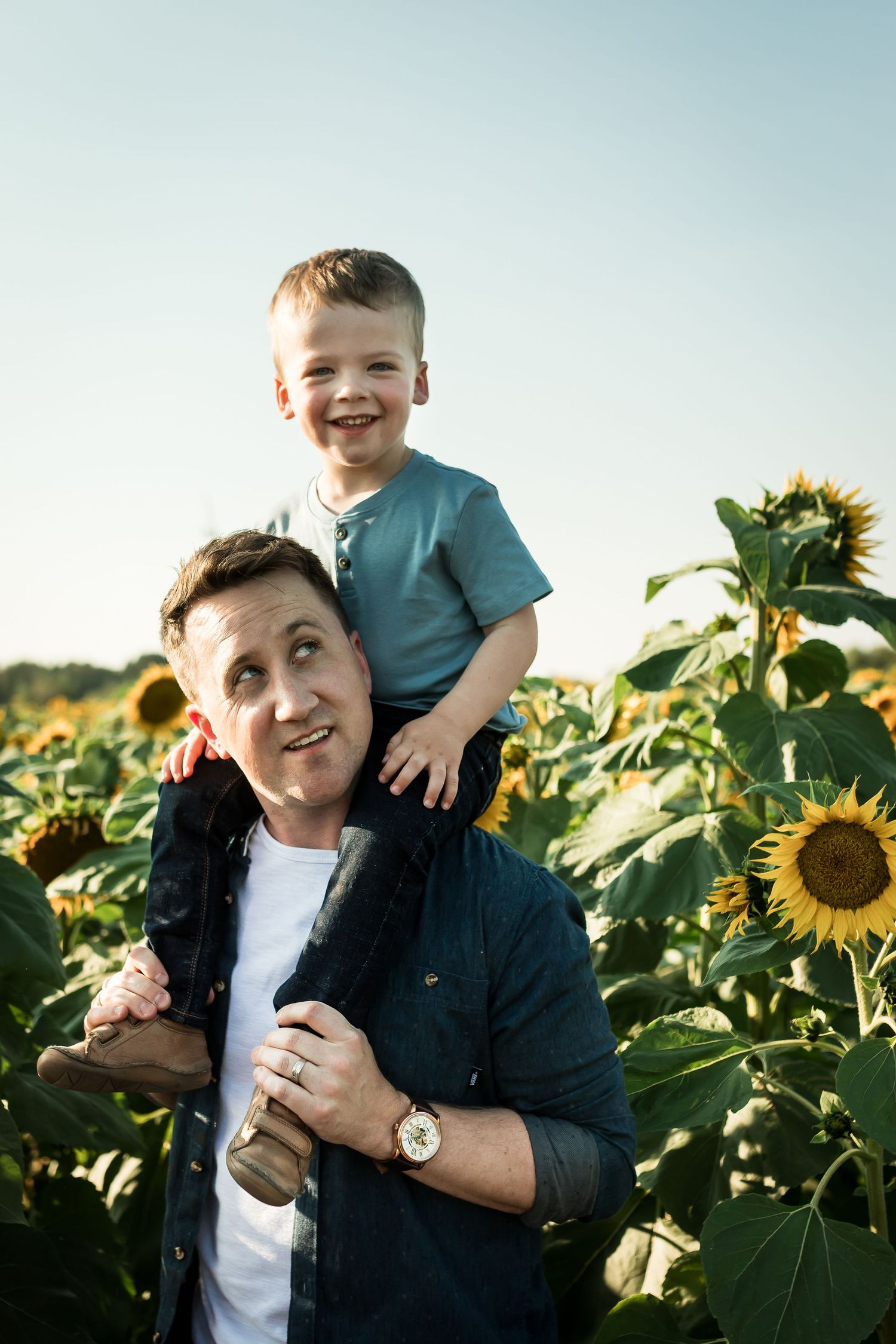 Family photos in sunflower fields at Bowden SunMaze by Calgary lifestyle photographer, Love & Sunshine Photography.