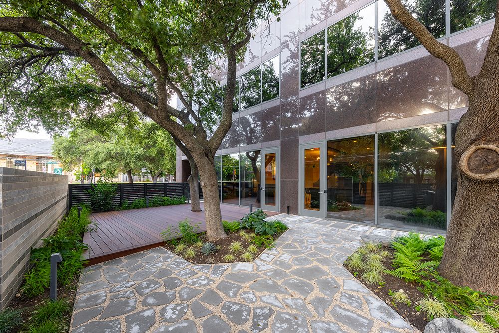 Modern office entrance featuring stone paving, mature trees, and a wooden deck in a tranquil courtyard setting.