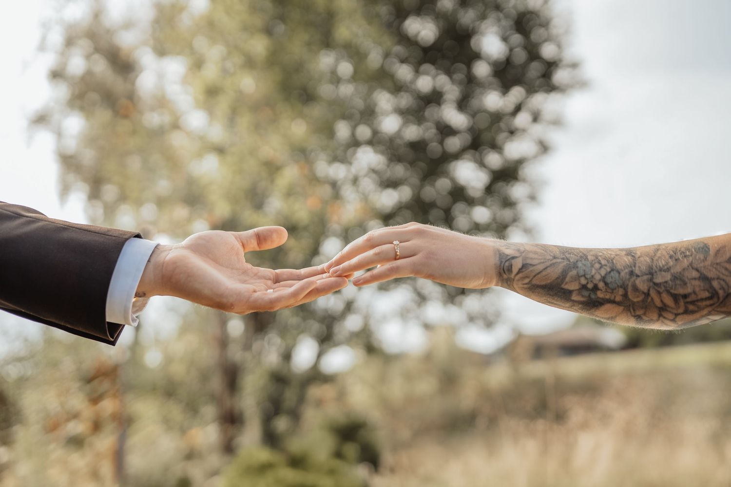 A couple poses together with wild moose in a scenic forest setting during a romantic outdoor photoshoot.