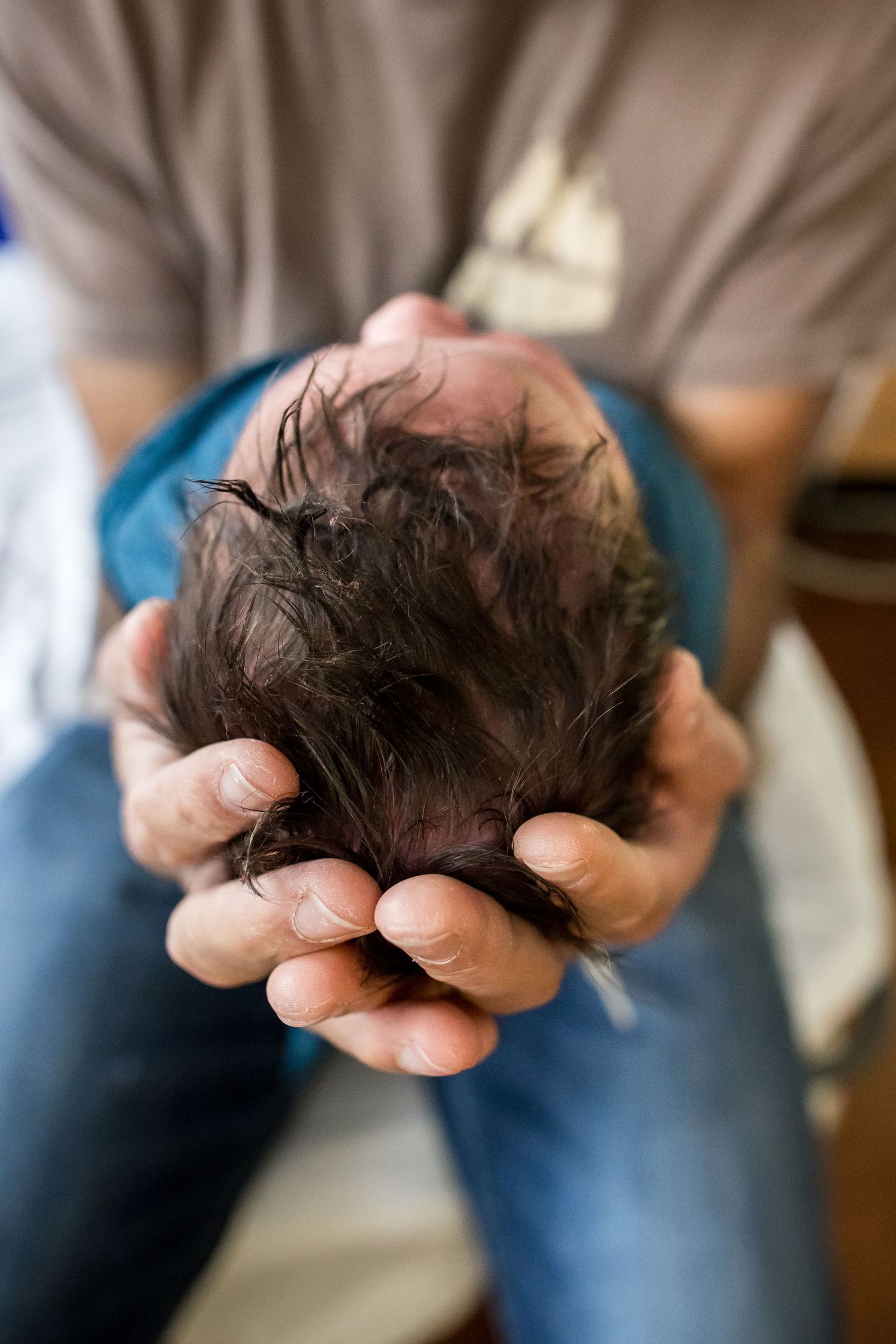 Hands gently cradle a newborn baby's head with dark hair against a neutral background.