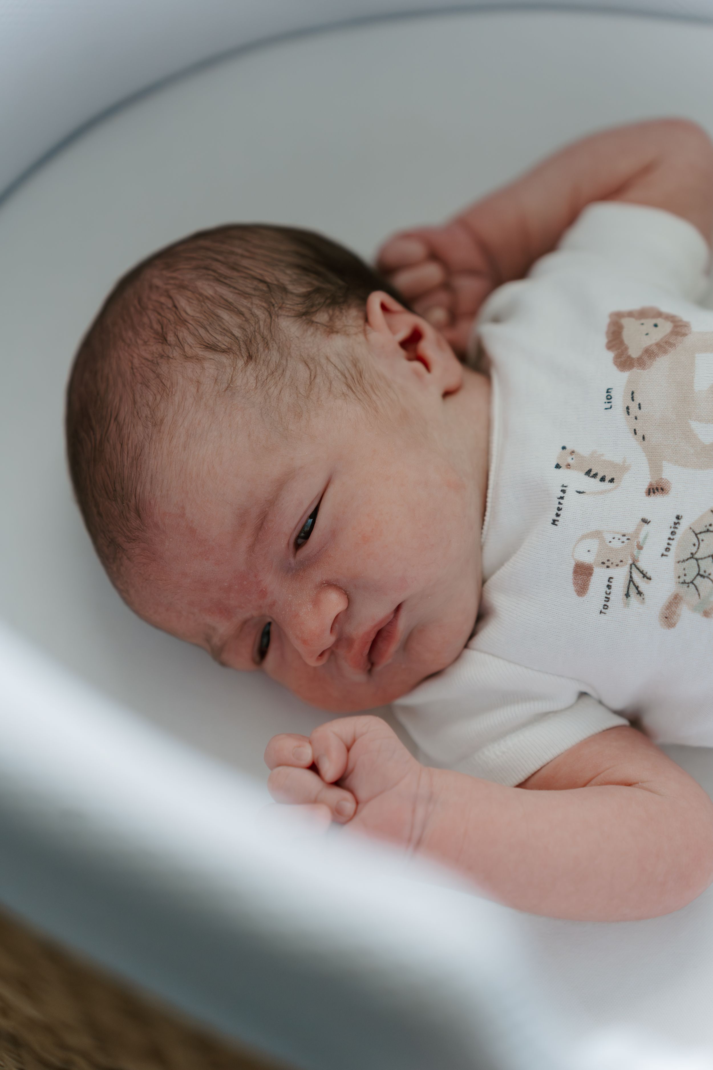 Newborn photography, family portraits, candid moments, posed baby photos, lifestyle session, DeLand FL photographer, authentic memories