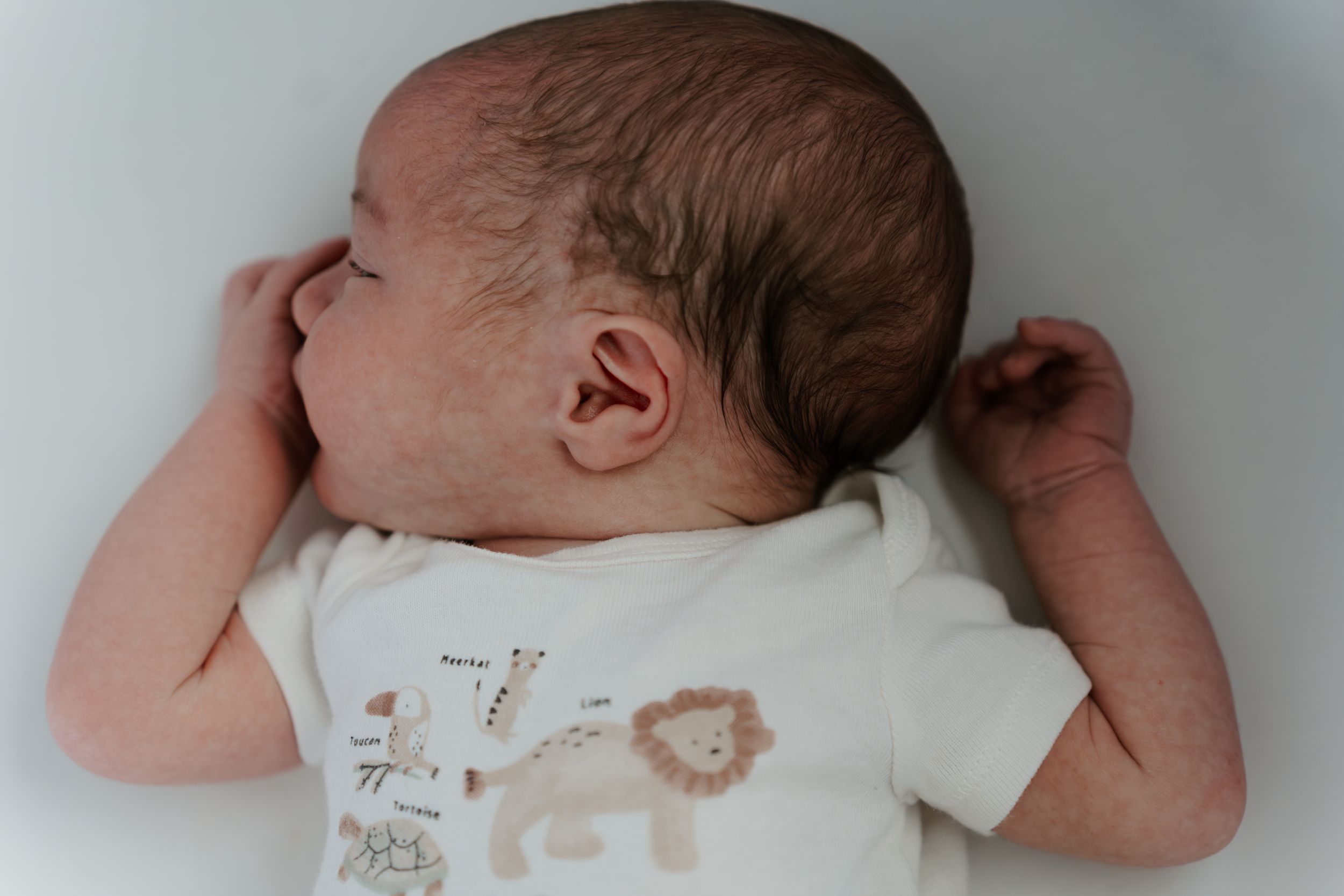 Newborn photography, family portraits, candid moments, posed baby photos, lifestyle session, DeLand FL photographer, authentic memories