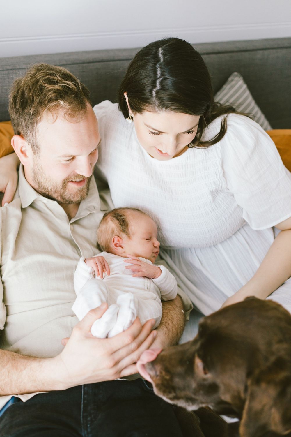 A couple holds their newborn baby while sitting on a couch with their chocolate Labrador dog looking on.