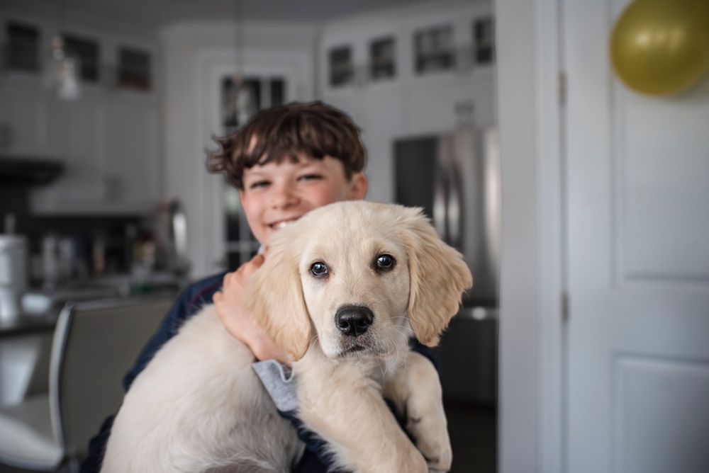 A young boy holds his puppy in his arms and smiles widely.