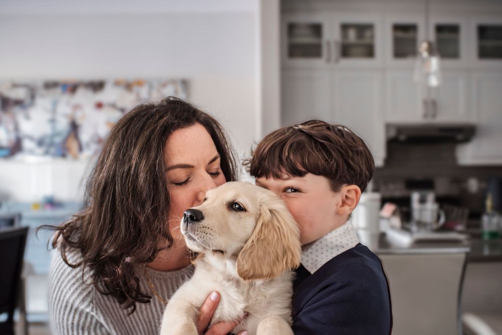 Mom and son share a cuddle with their retriever puppy in the kitchen.