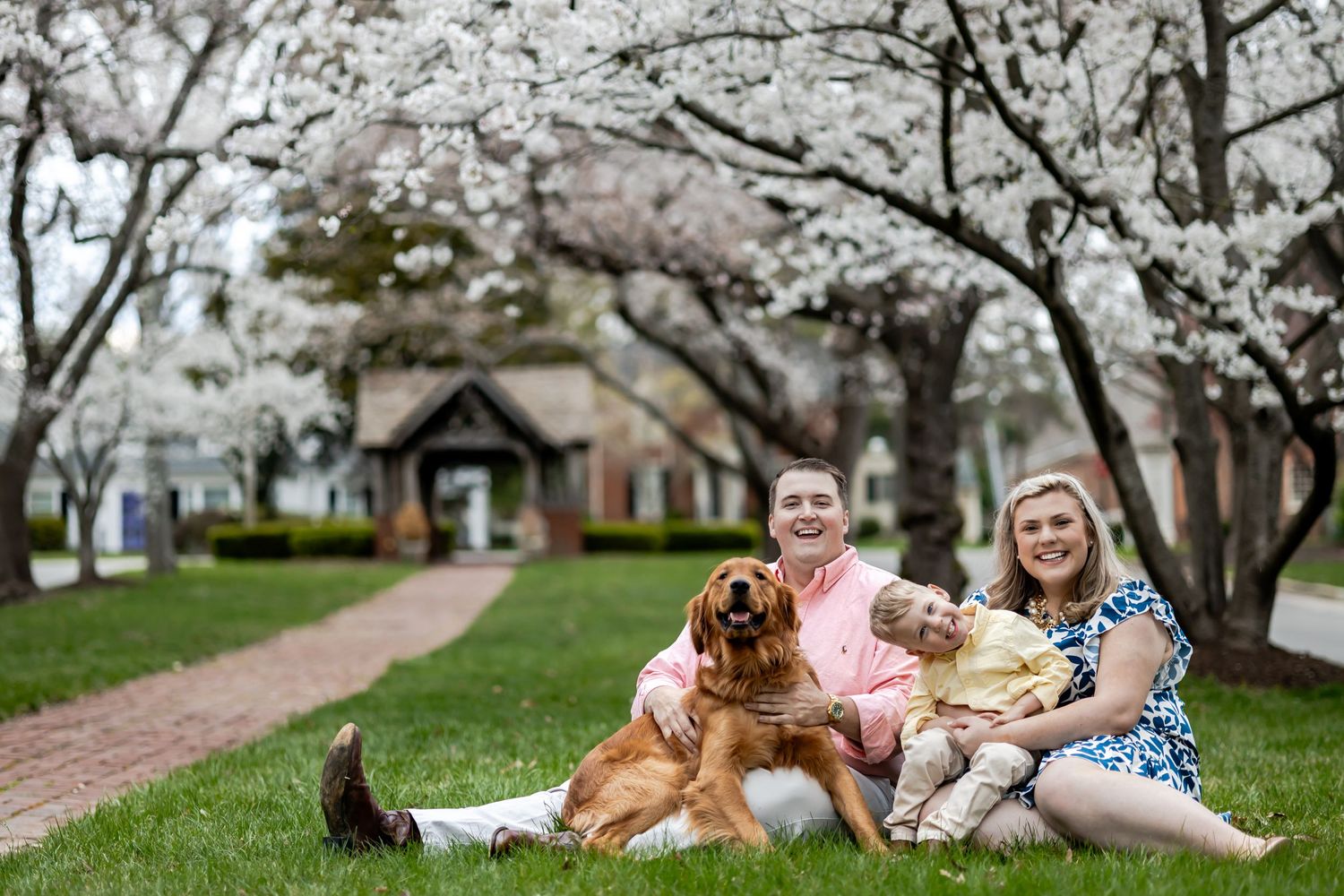 A couple sits with their two dogs under blooming cherry blossom trees in front of a church building on a spring day in richmond virginia