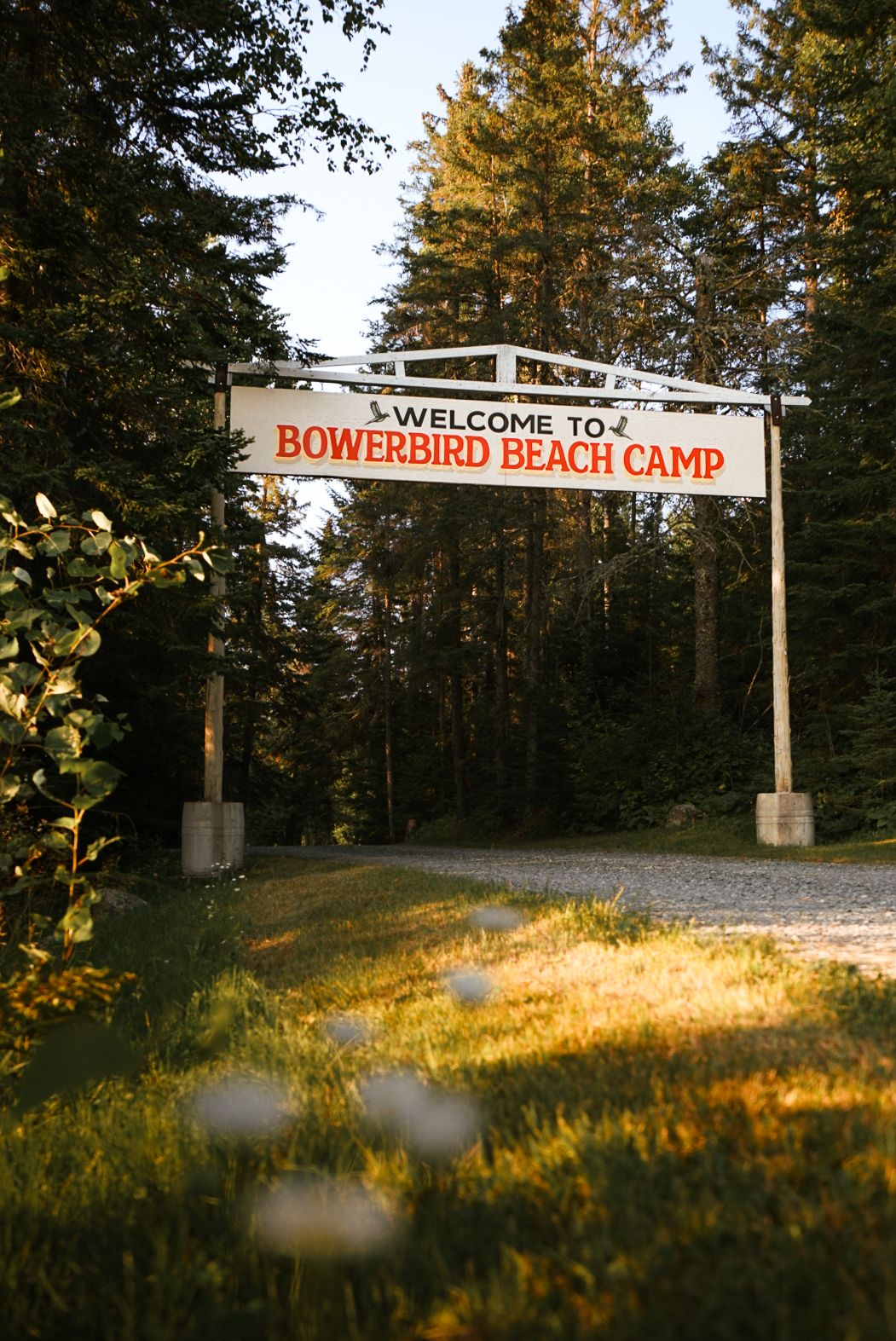 Welcome sign for Bowerbird Beach Camp with sunlit gravel path.