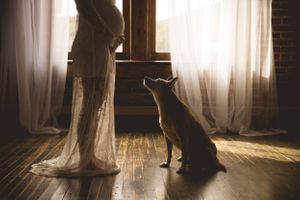 Puppy studio maternity photo with Urso Photography, capturing sweet fur baby brother.