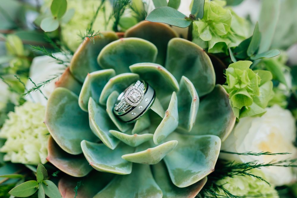 Close-up of green succulent plants and flowers arranged as wedding decor.