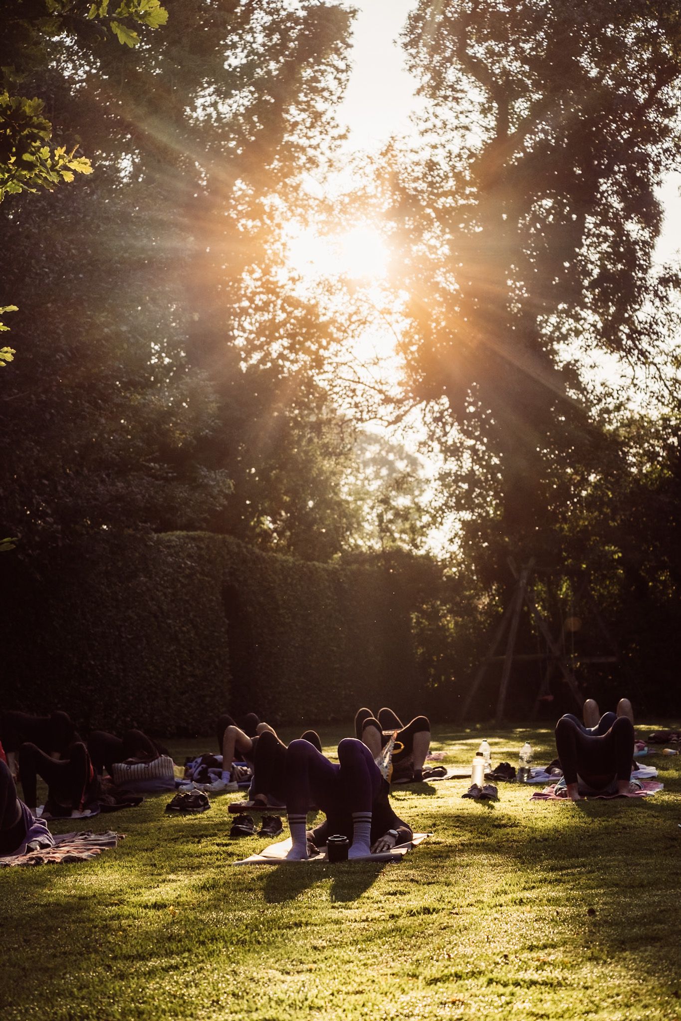 Sunset yoga session in park with golden light streaming through trees.