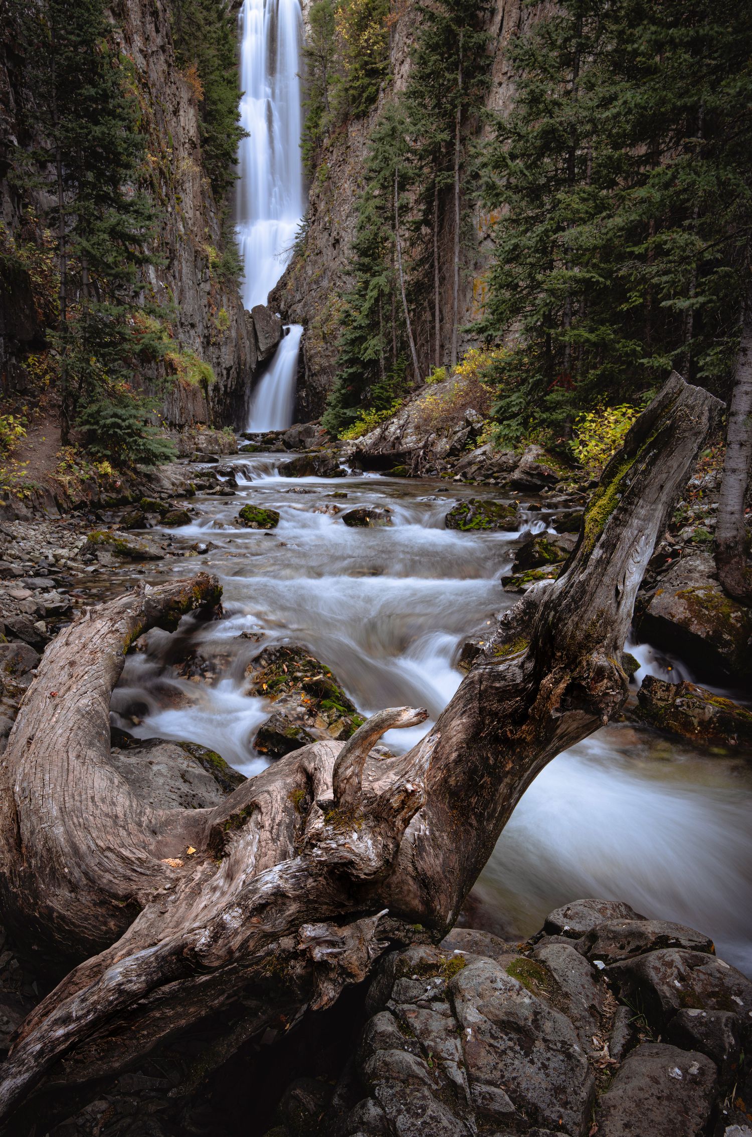 A tall cascading waterfall flows down rocky cliffs into a rushing stream with fallen logs and boulders in the foreground.