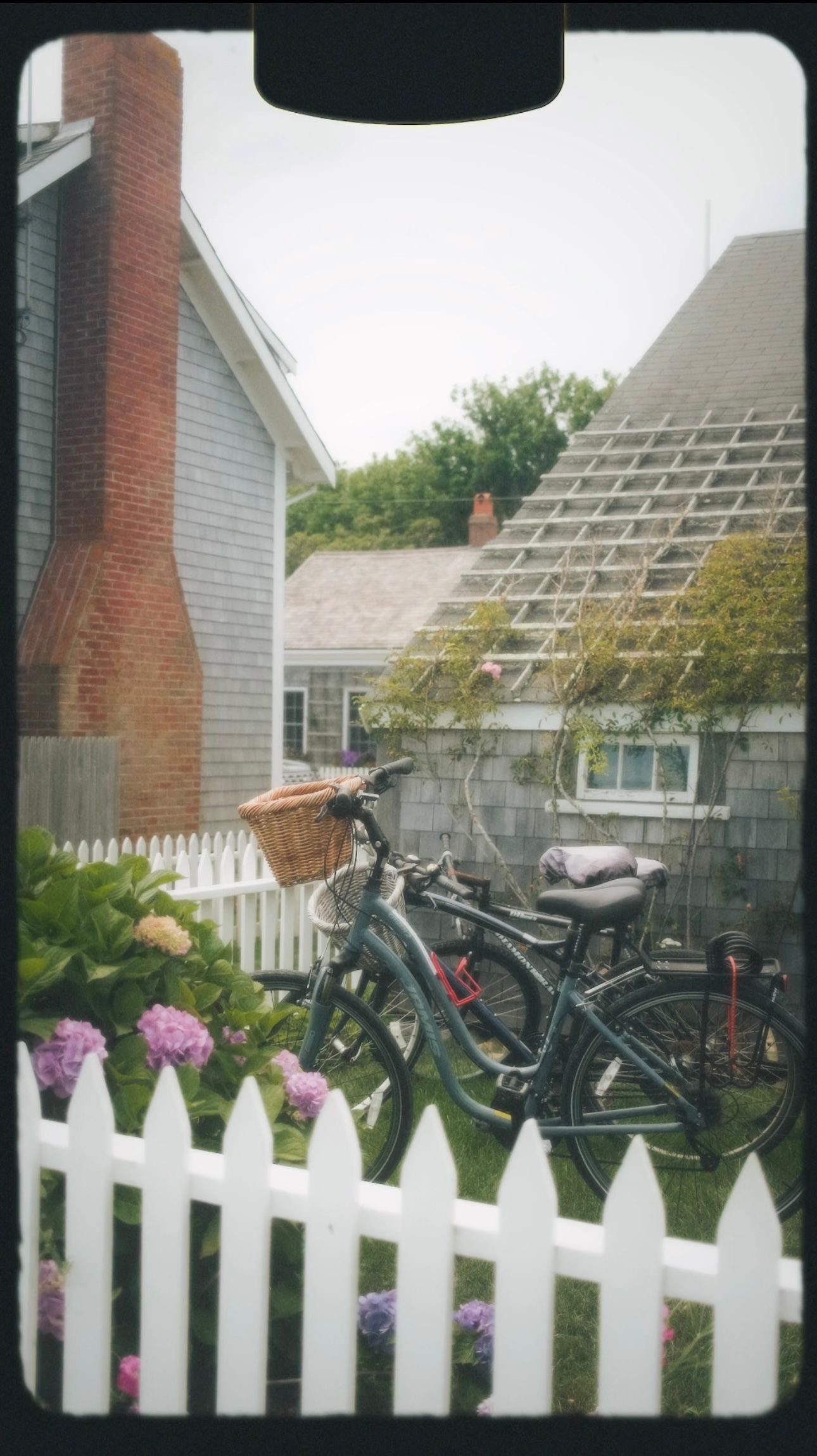 Bicycles lean against a white picket fence with purple flowers and house roofs visible in the background.