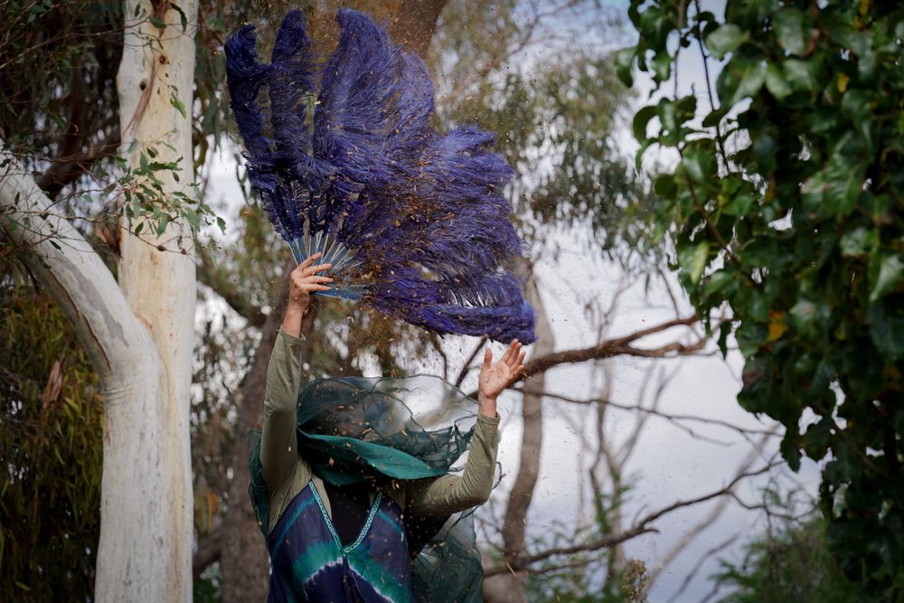 Canberra Dance Legend Liz Lea performing at Mirramu's Dance in Nature performance.