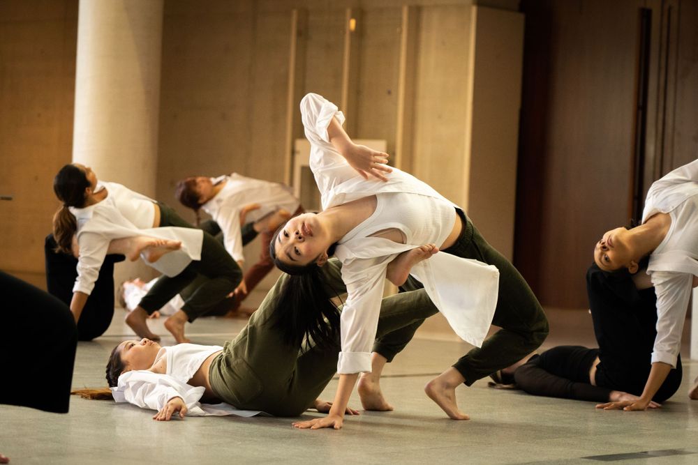 QL2 Dance, Australian Dance Party, Catapult Dance and Catapult's Flipside Project in Connecting Stories at the National Portrait Gallery.