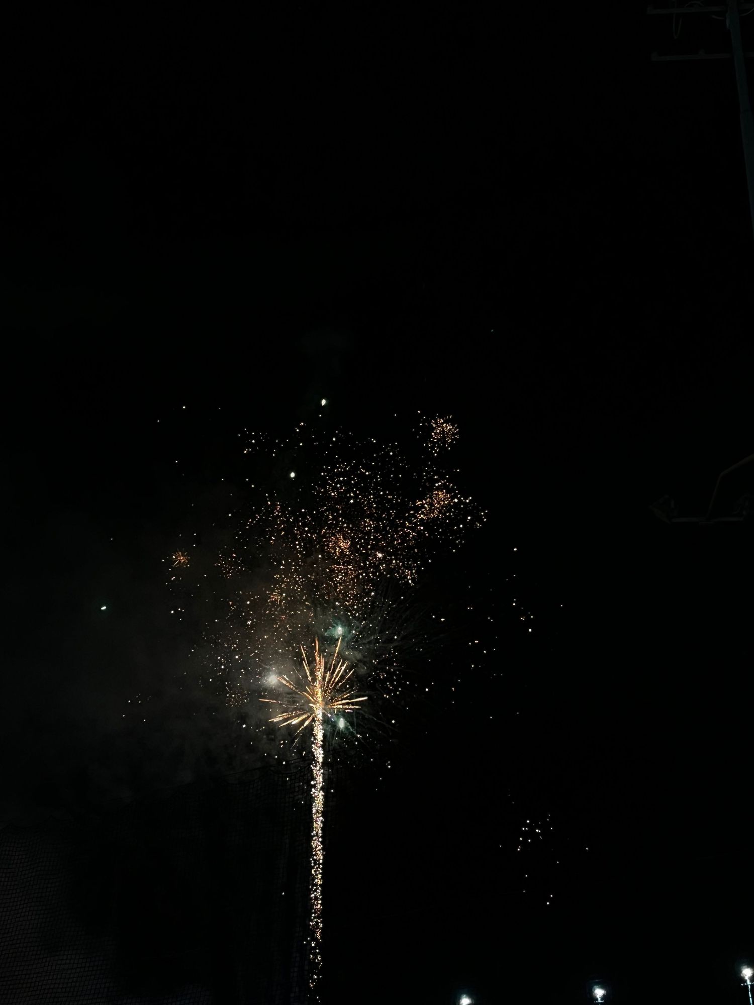 Fireworks burst in the night sky creating bright white sparkles against the darkness.