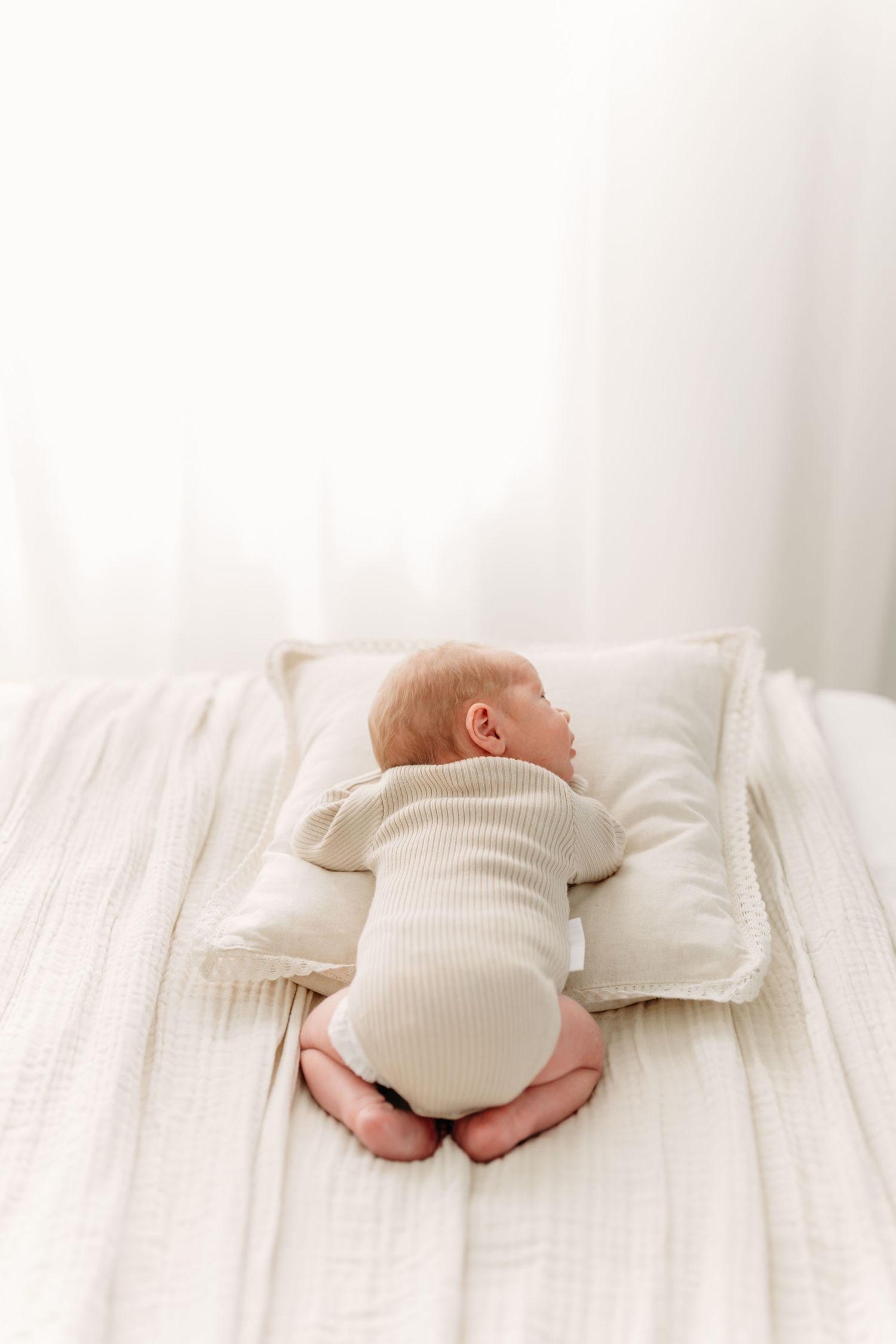 Photographe de nouveau-né et grossesse près de Québec. Studio de photographie