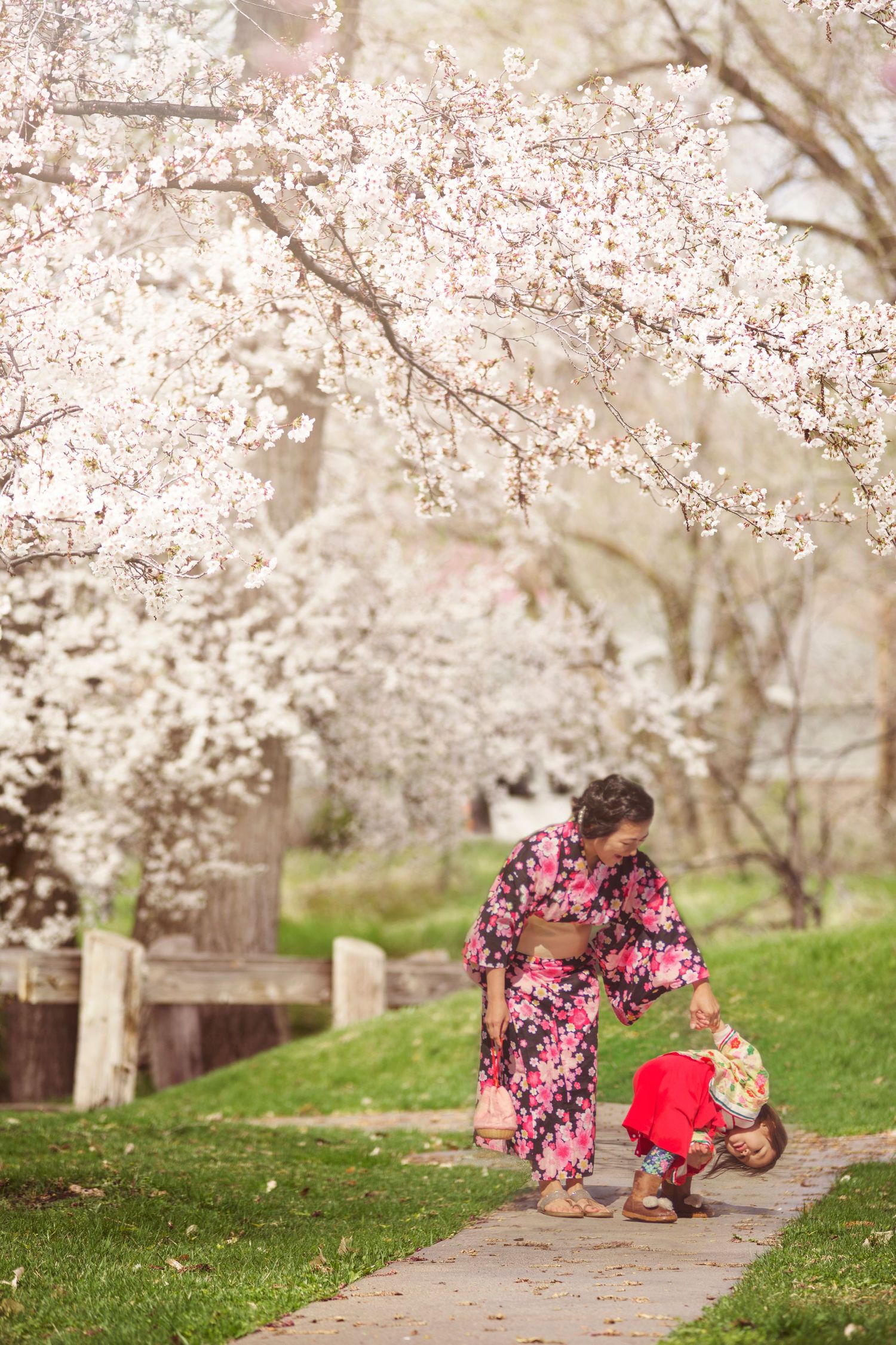 spring cherry blossoms japan international peace gardens salt lake city utah