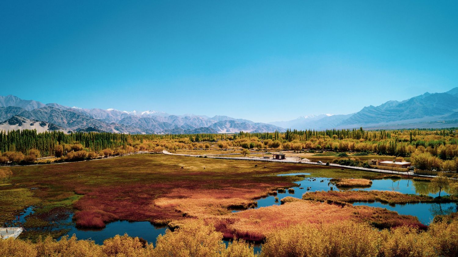 Panoramic landscape view of wetlands and mountains under vibrant blue sky.