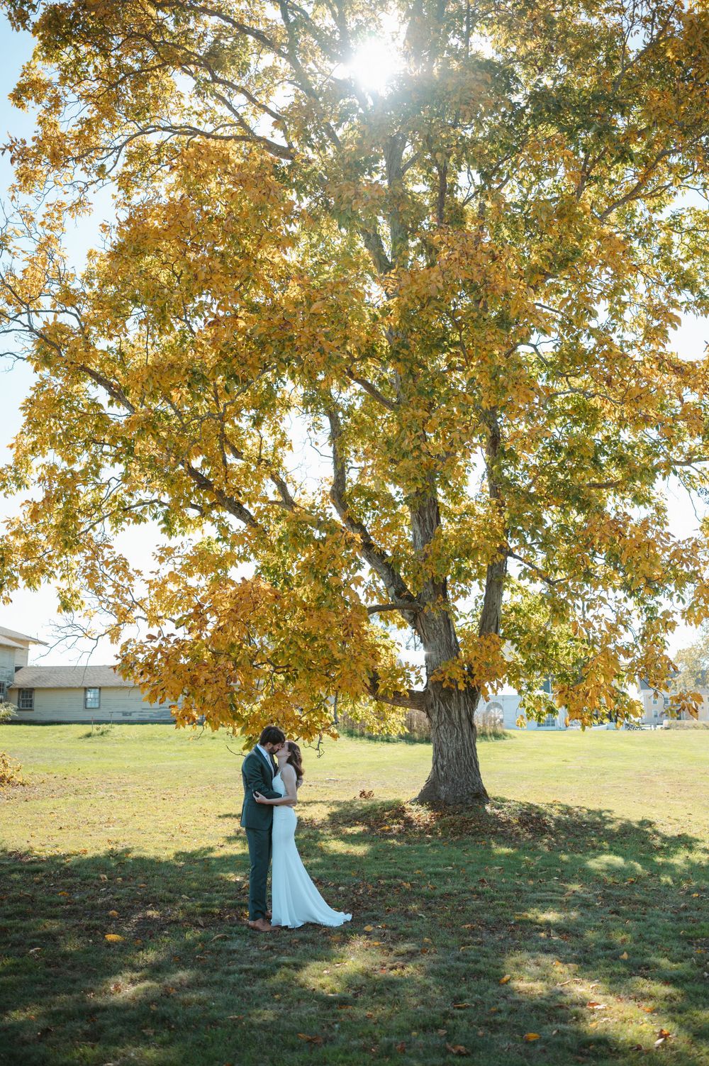 A romantic autumn wedding portrait series under a majestic golden-leaved tree on a grassy hillside.