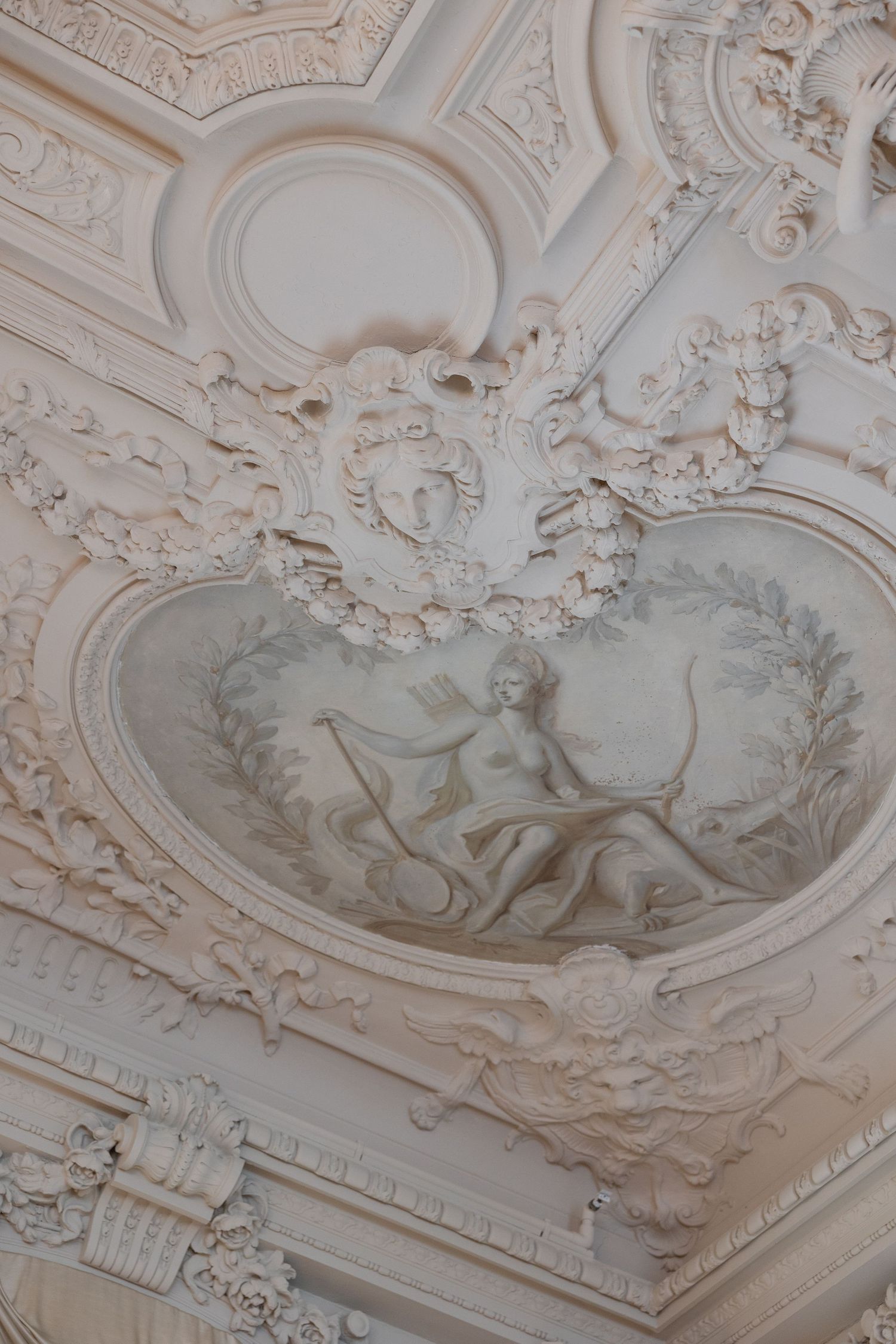 Ornate baroque ceiling with detailed white plasterwork and decorative medallion featuring classical imagery.