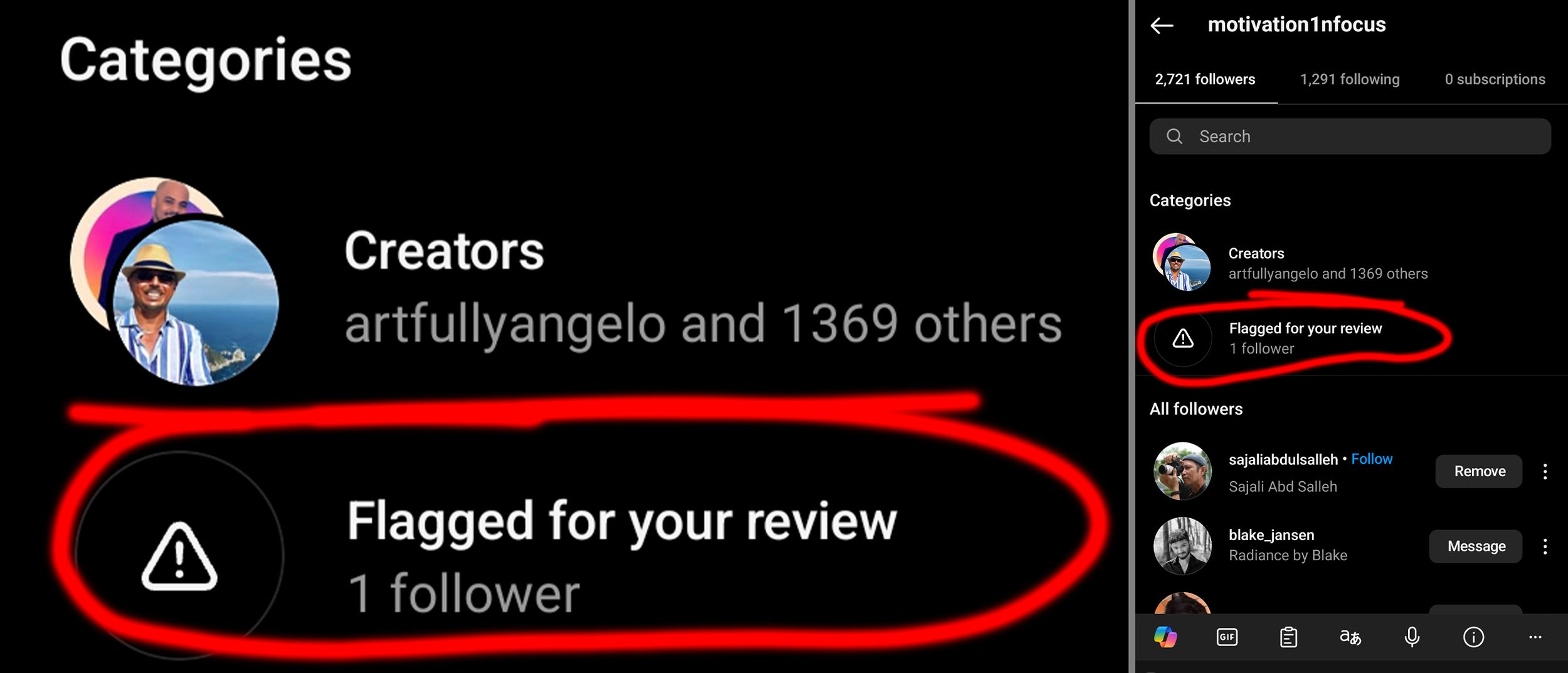 Social media category section showing creators list with review flag notification.