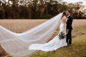 Dramatic long veil flows in the wind during sunset wedding portraits in a golden field.