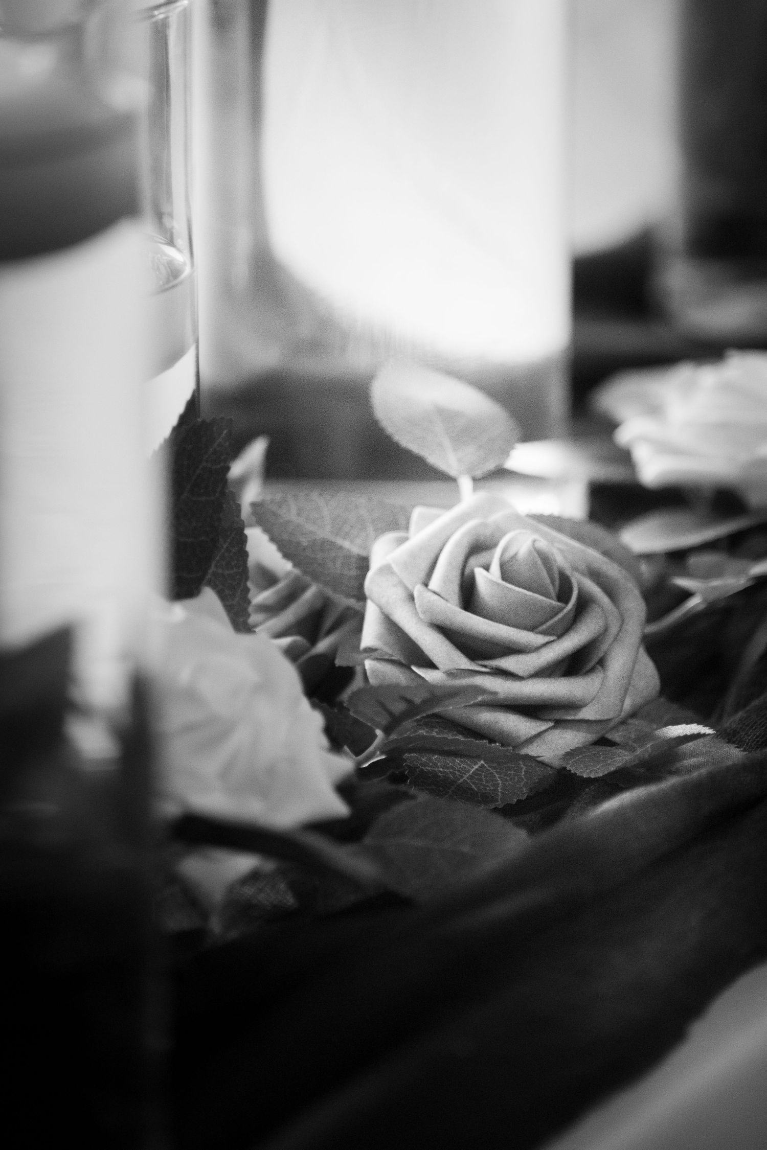freelancer, South Carolina, photographer, fine art, wedding, commercial, nature, reenactment, gallery, freelance, monochrome, bridge, groom
