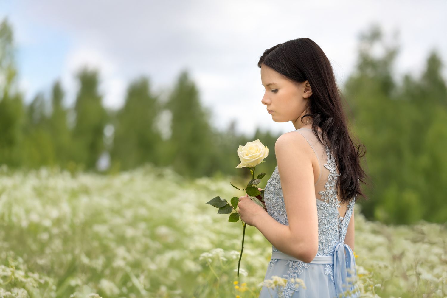 Someone wearing a blue dress holds white roses while standing in a blooming wildflower meadow on a summer day.