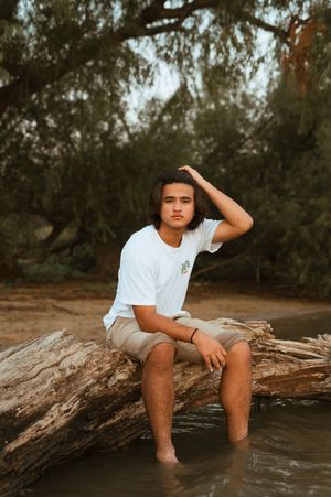 A sequence of outdoor portraits showing someone sitting on a fallen tree trunk by the water in a natural setting.
