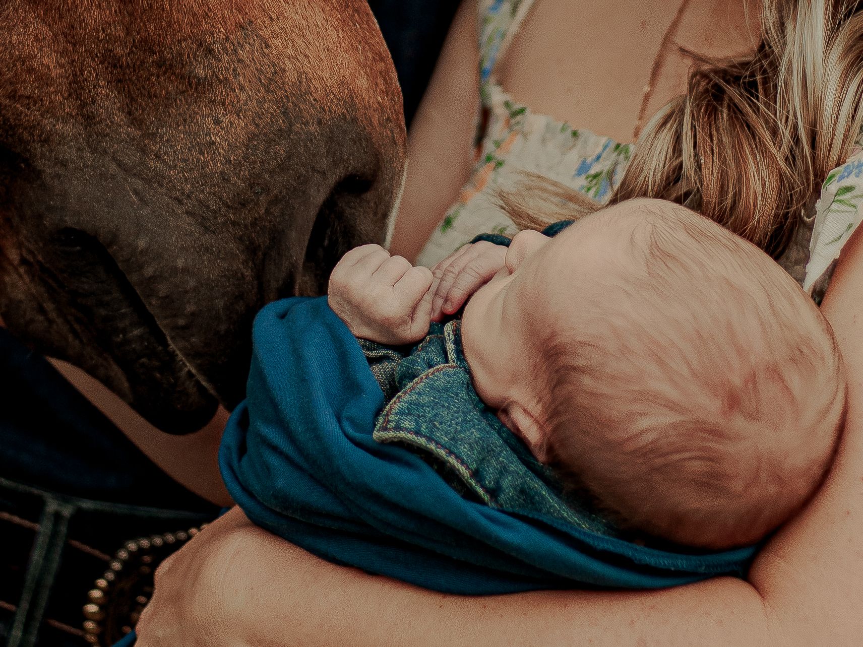 A sequence of intimate moments between two people showing affection and closeness in multiple poses.