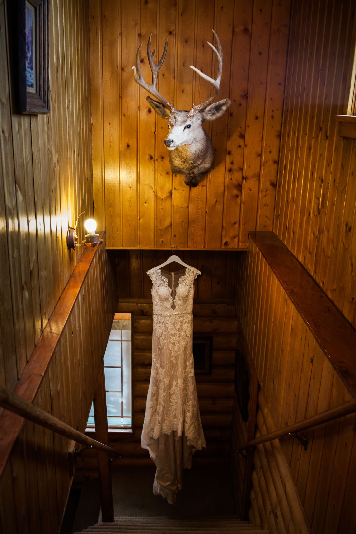 White lace wedding dress hanging in wooden stairwell with mounted deer head trophy on pine paneled wall.