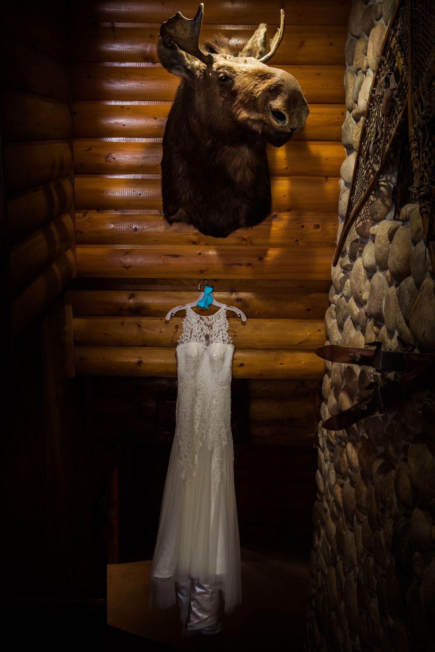 A white wedding dress hangs on a blue hanger beneath a mounted moose head in a rustic log cabin interior.
