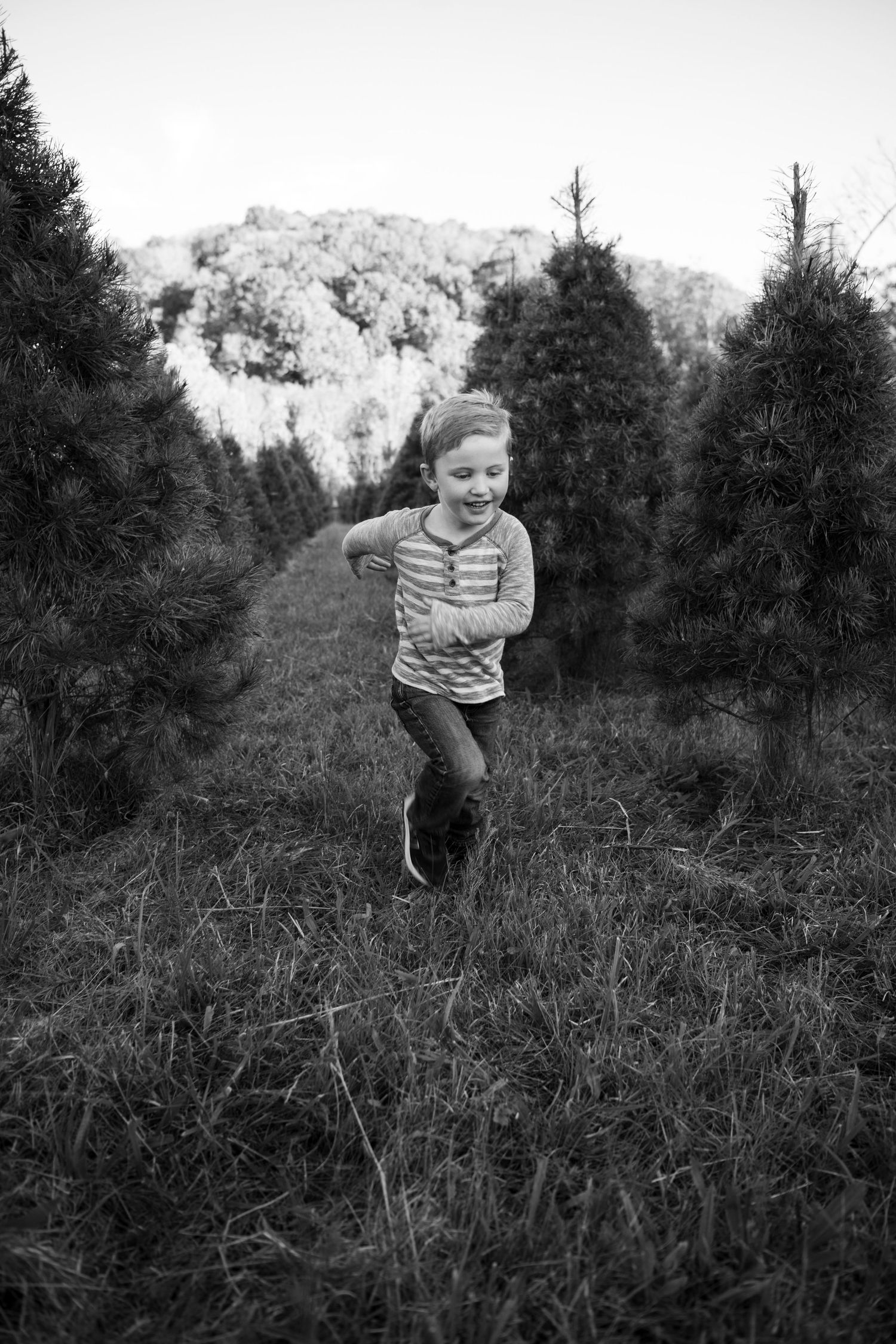 Child running playfully through Christmas tree farm in black and white photography.