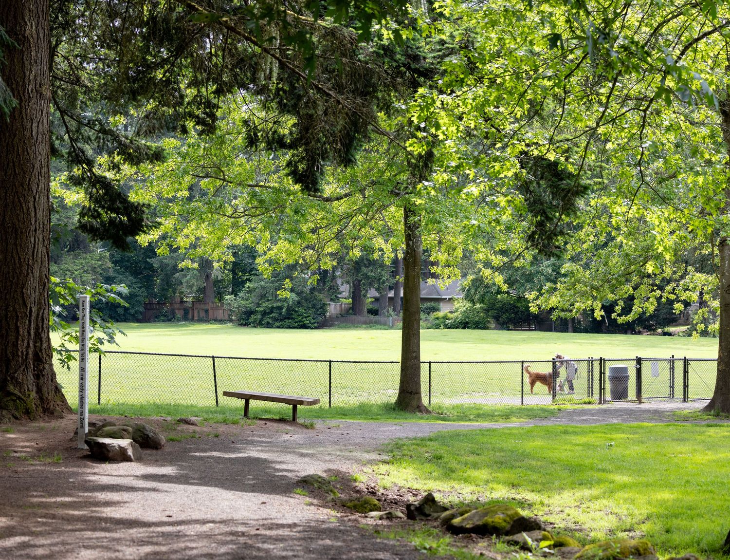 Pilkington dog park in Lake Oswego, Oregon