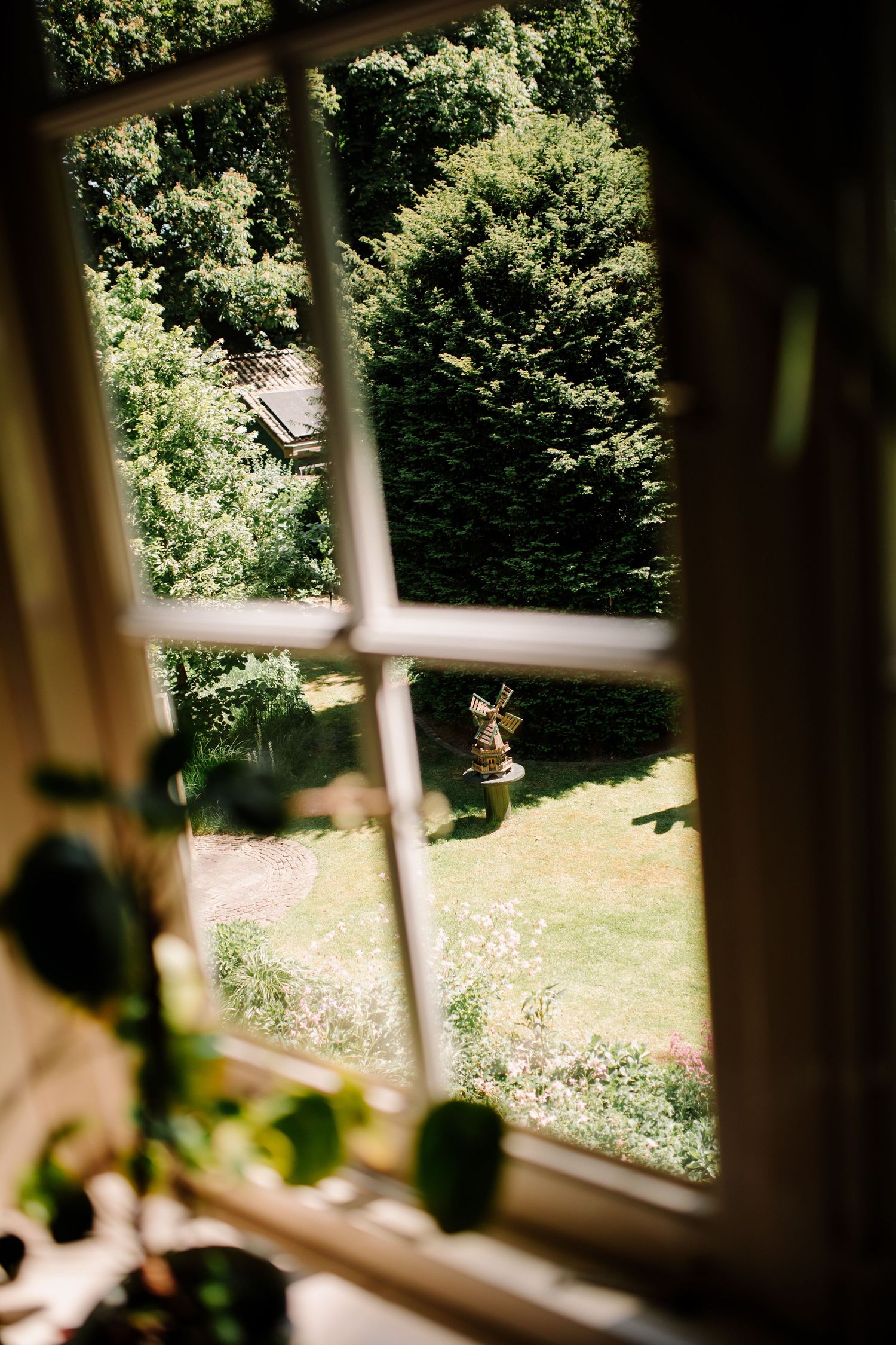 View through a window pane of a sunny garden with lush green trees and bushes.