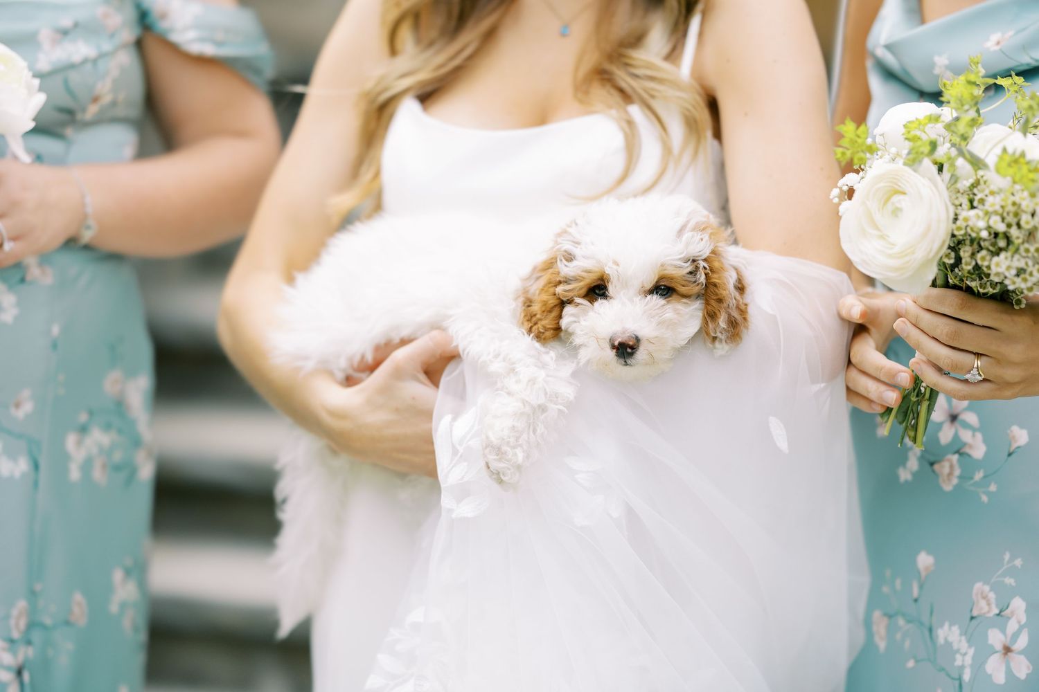 A mini doodle puppy being held by a bride at Silver Bay YMCA in Lake George, New York.